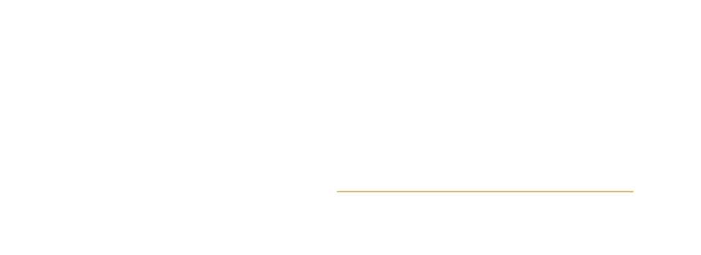 Fortuna Wealth Management Full Logo White