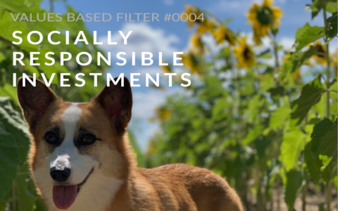 4-SOCIALLY RESPONSIBLE INVESTMENTS